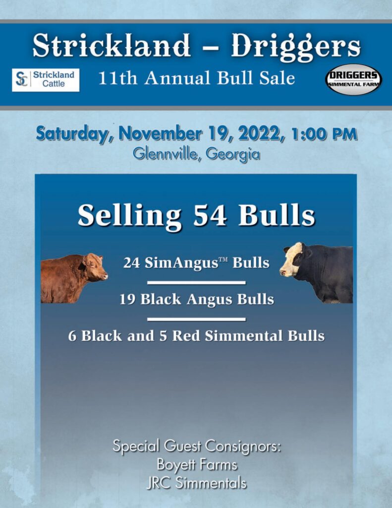 ASA - 2022 Fall Strickland Driggers Sale