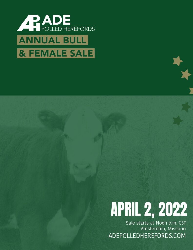 Ade Polled Herefords - 2022 Spring Sale