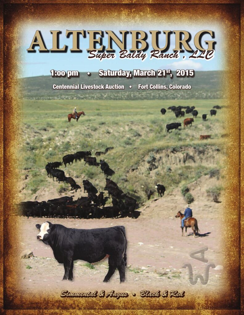 Altenburg Super Baldy Ranch - 2015 Production Sale