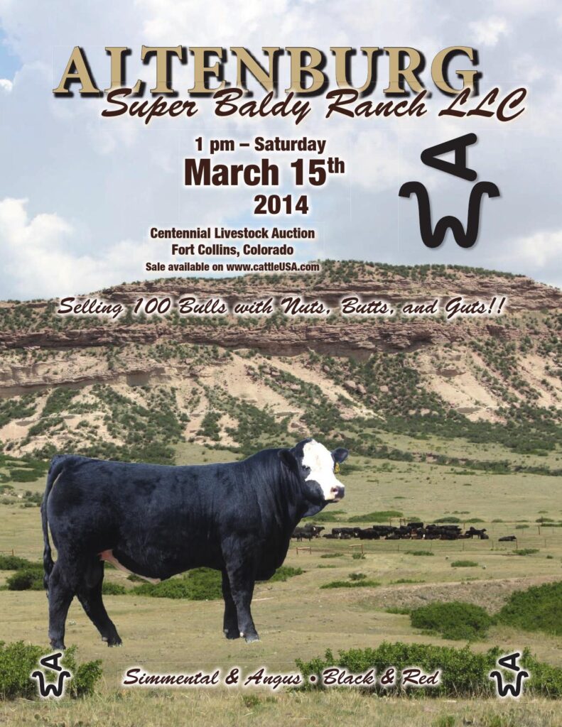 Altenburg Super Baldy Ranch - 22nd Annual Super Baldy Bull Sale