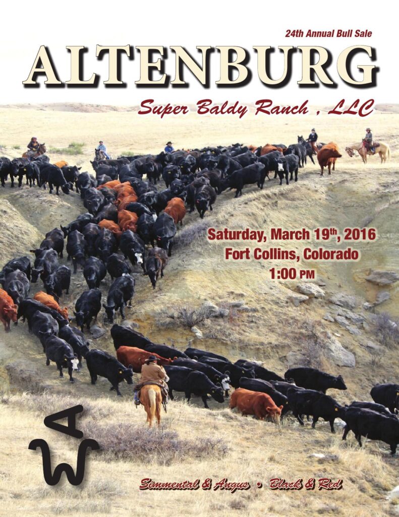 Altenburg Super Baldy Ranch - 24th Annual Bull Sale