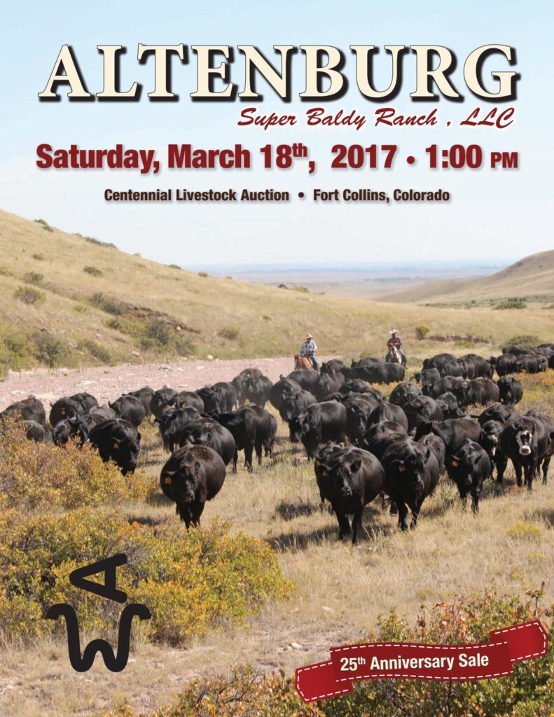 Altenburg Super Baldy Ranch - 25th Annual Production Sale