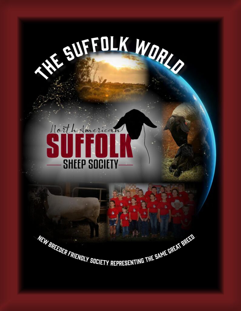 American Hampshire Sheep Association - 2023 April Suffolk World