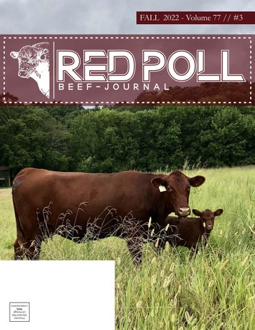 American Red Polls - 2022 Fall National Sale