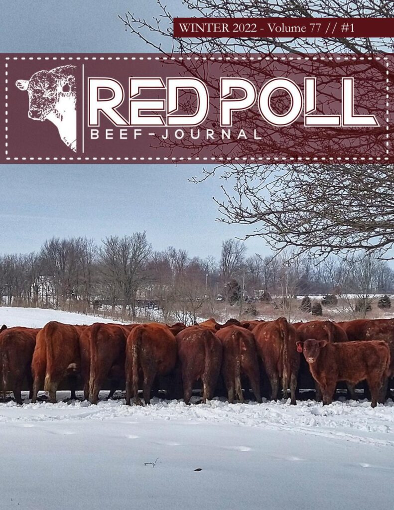 American Red Polls - 2022 January Journal
