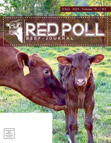 American Red Polls - 2023 Fall Journal