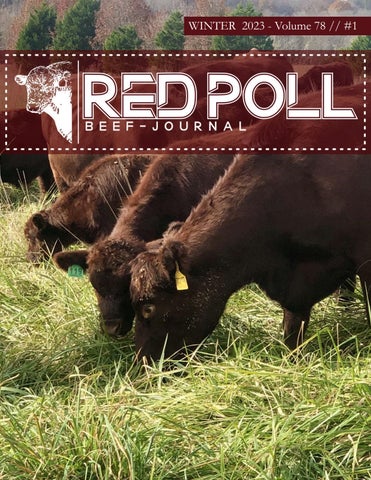 American Red Polls - 2023 Winter Journal