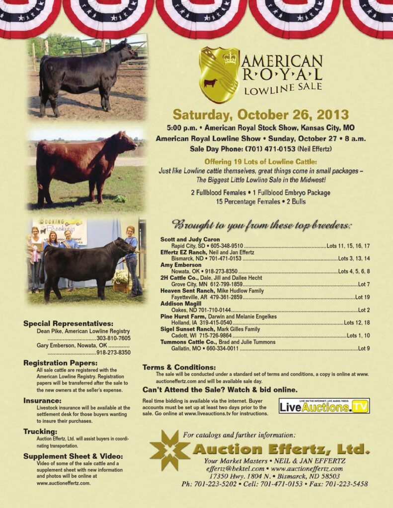 American Royal Lowline Sale