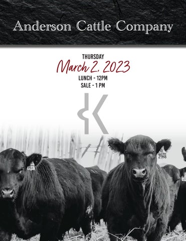 Anderson Cattle Company - 2023 Bull Sale