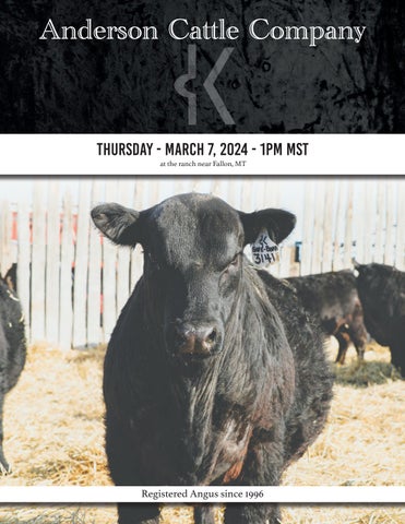 Anderson Cattle Company Annual Bull Sale