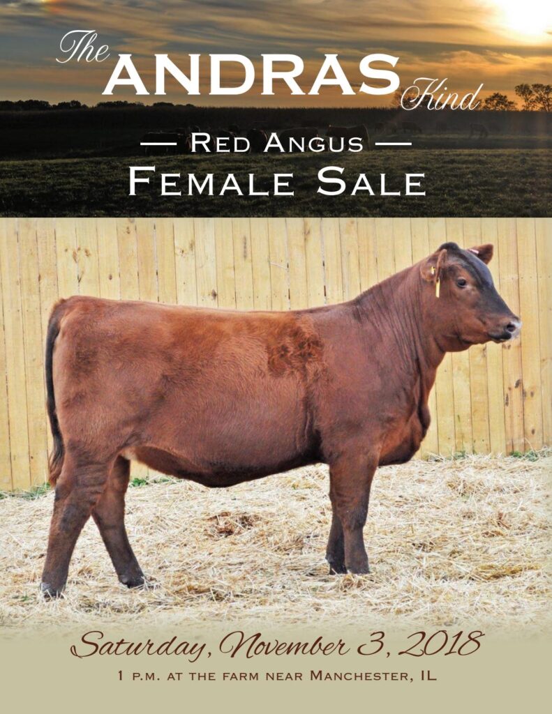 Andras Stock Farm - 2018 Female Sale
