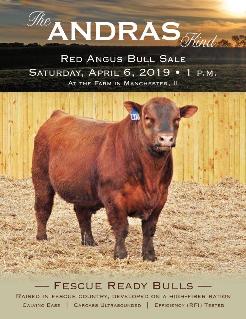 Andras Stock Farm - 2019 Bull Sale