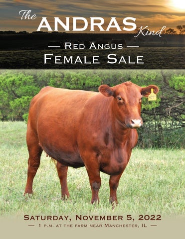Andras Stock Farm - 2022 Fall Female Sale