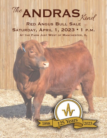 Andras Stock Farm - 2023 Spring Bull Sale