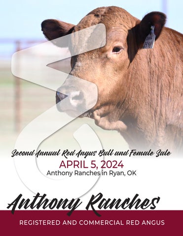 Anthony Ranches Second Annual Red Angus Bull & Female Sale