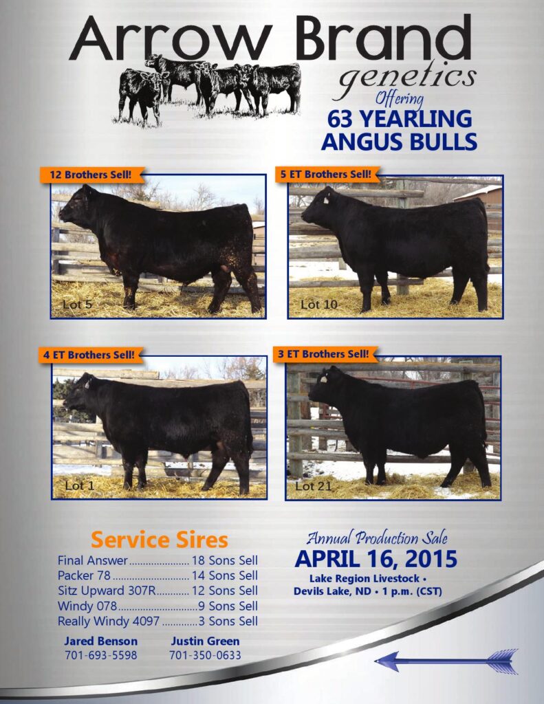 Arrow Brand Genetics - 2015 Production Sale