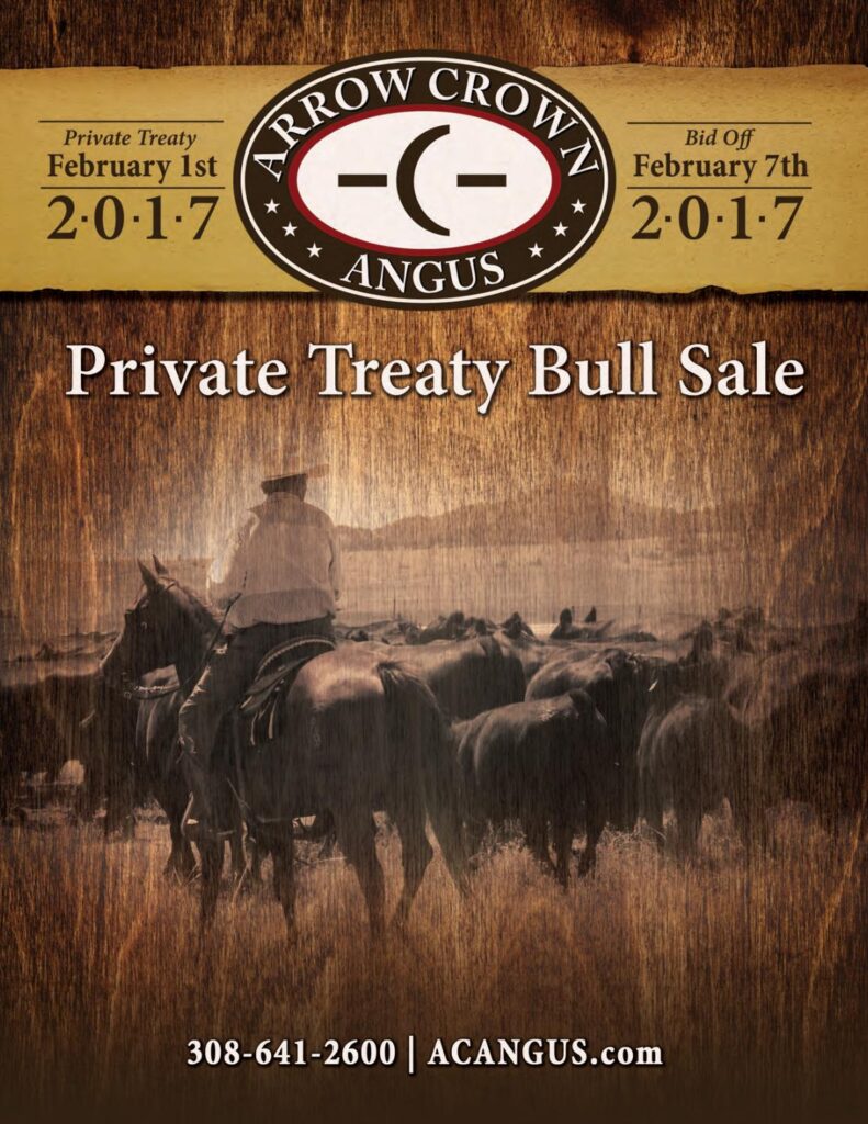 Arrow Crown Angus - 2017 Private Treaty Sale