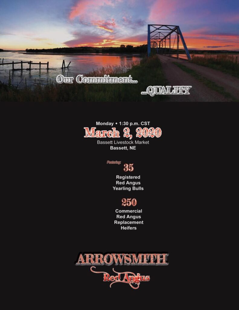Arrowsmith Red Angus - 2020 Sale