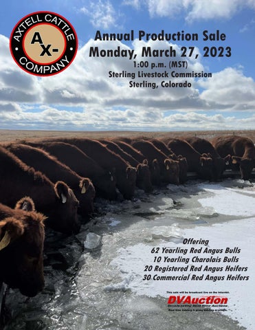Axtell Cattle Company - 2023 Spring Sale