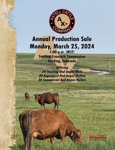Axtell Cattle Company Annual Production Sale