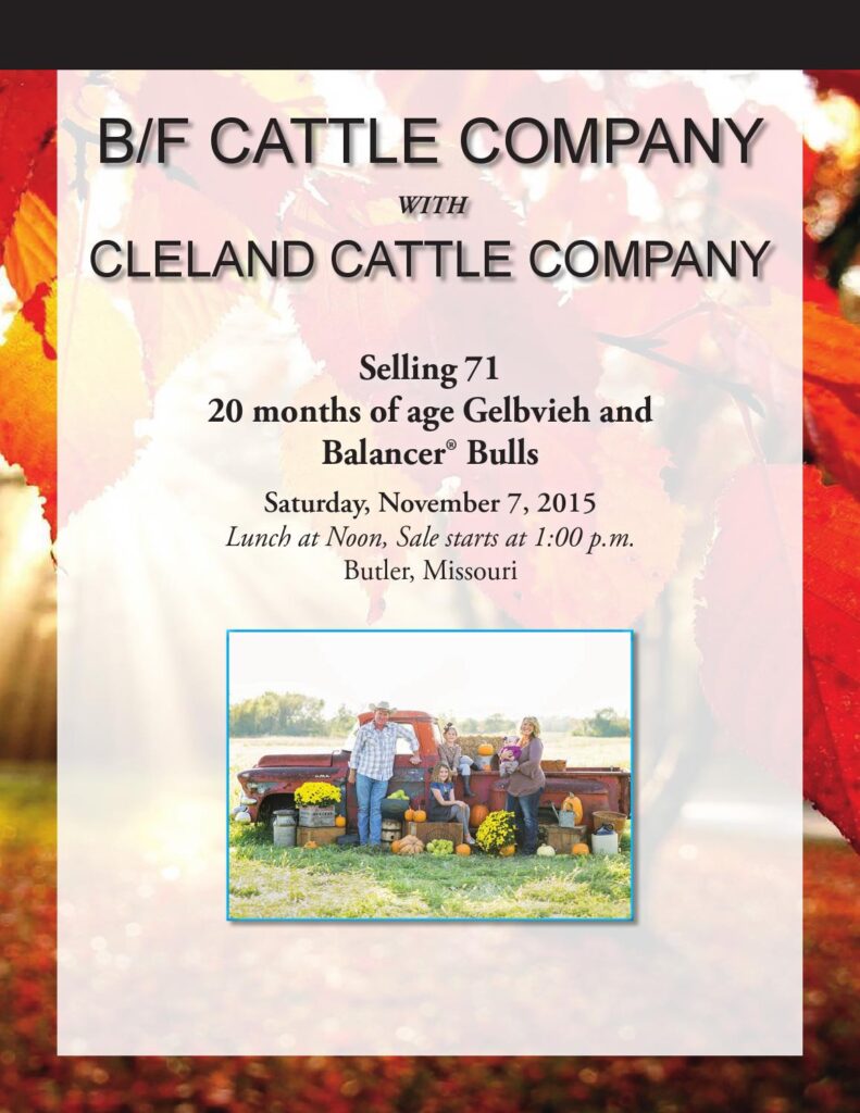 B/F Cattle Company - 2015 Bull Sale