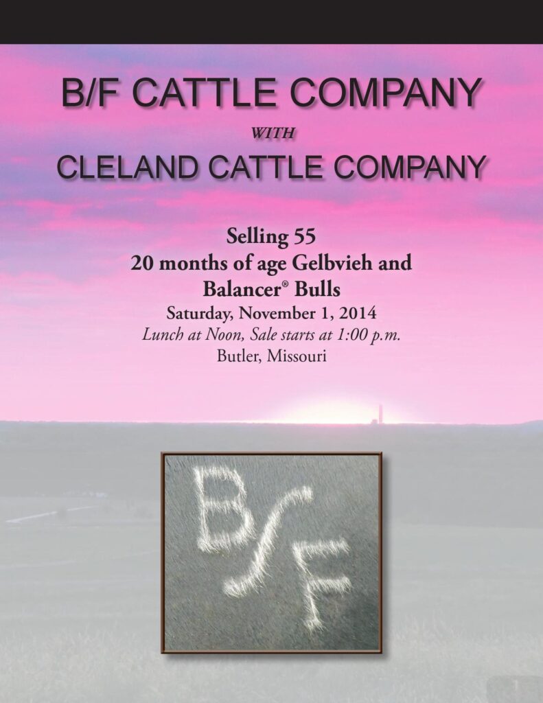 BF and Cleland Cattle Company - 2014 Bull Sale
