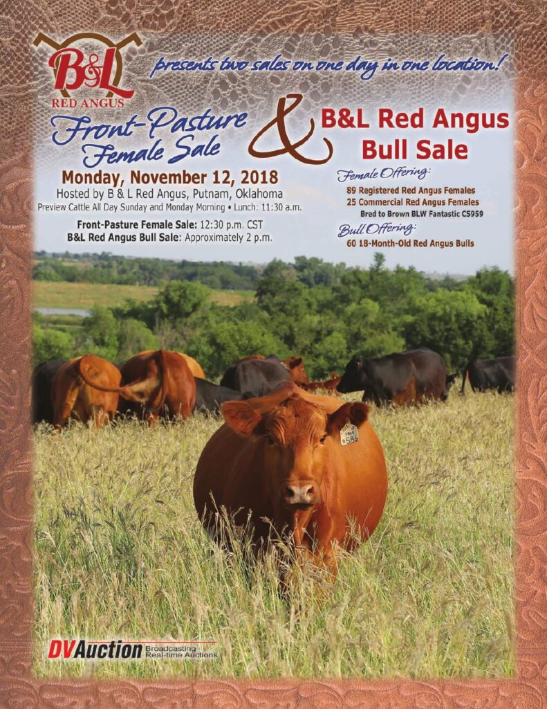 B&L Red Angus - 2018 Female Sale