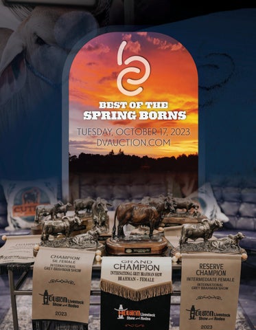 BR Cutrer Inc - 2023 October