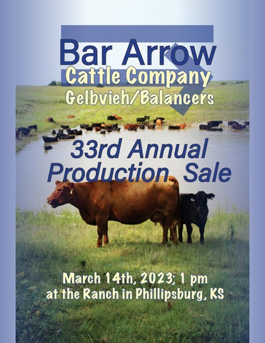 Bar Arrow - 2023 Spring Sale
