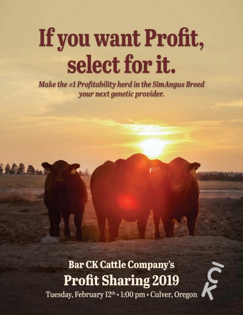 Bar CK Cattle Company - 2019 Bull Sale