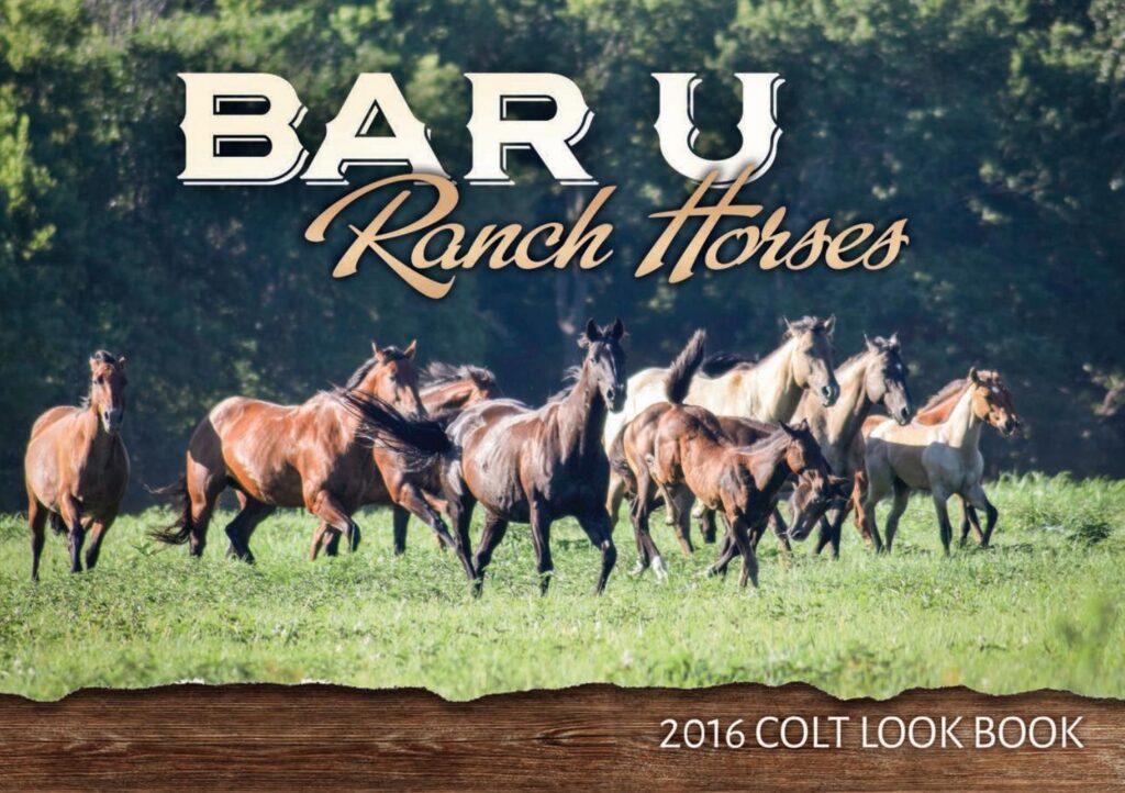 Bar U Ranch Horses - 2016 Colt Look Book