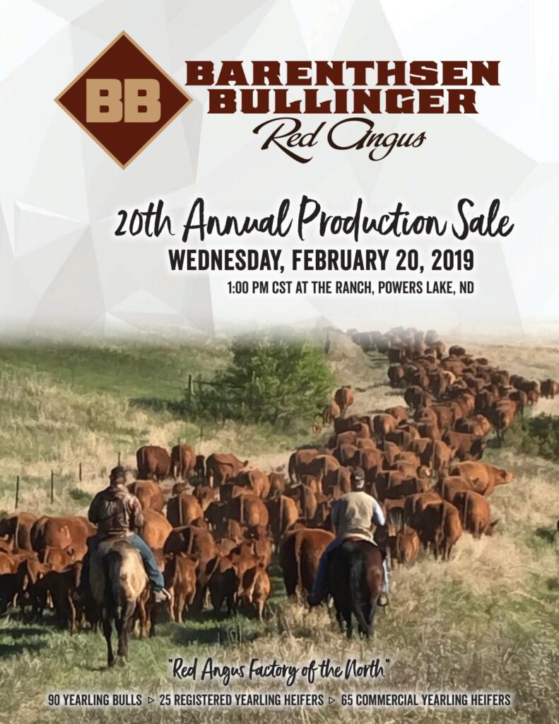 Barenthsen-Bullinger Red Angus - 2019 Sale