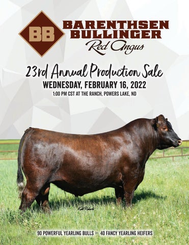 Barenthsen-Bullinger Red Angus - 2022 Spring Sale