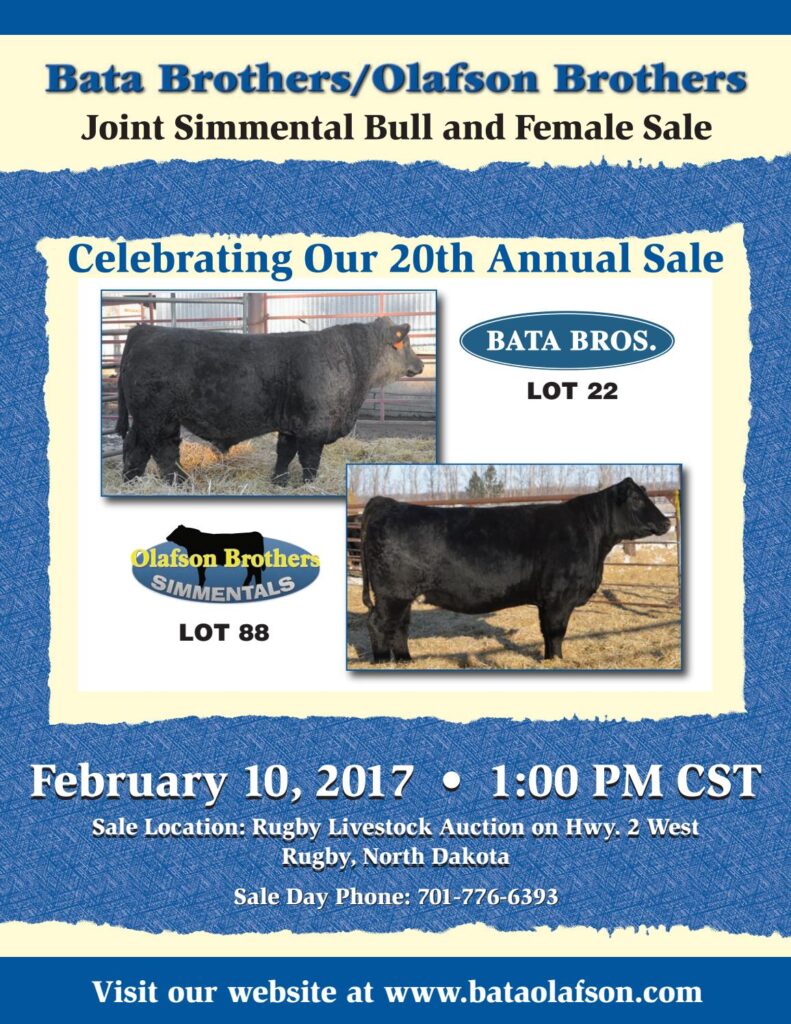 Bata Brothers/Olafson Brothers - 2017 Joint Simmental Bull Sale