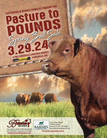 Batterson & Barnes Pasture to Pounds Spring Bull Sale