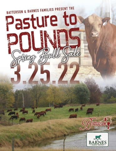 Batterson Red Angus - 2022 Pasture 2 Pounds Sale
