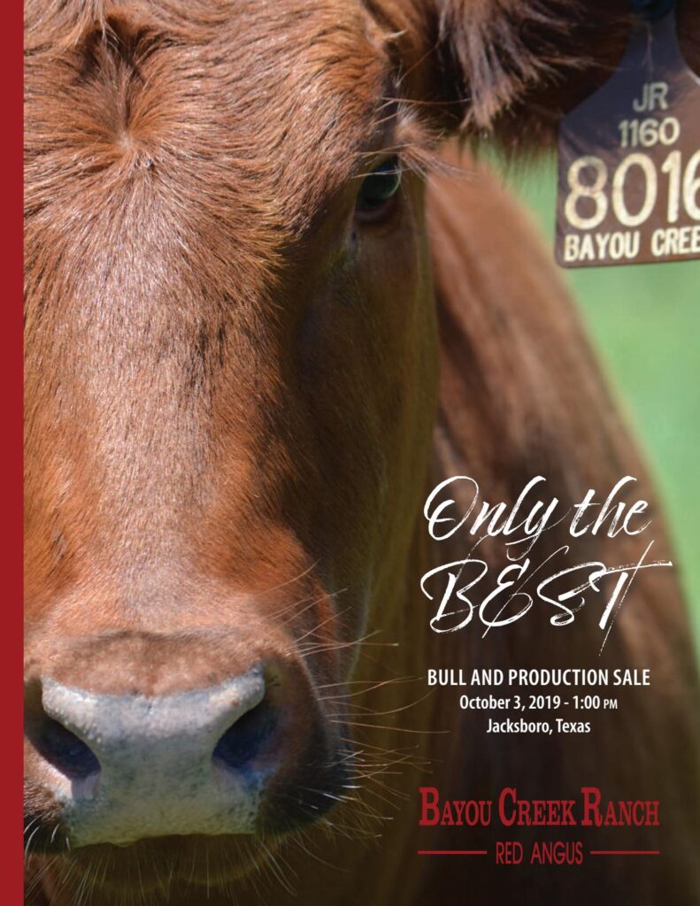 Bayou Creek Ranch - 2019 Sale