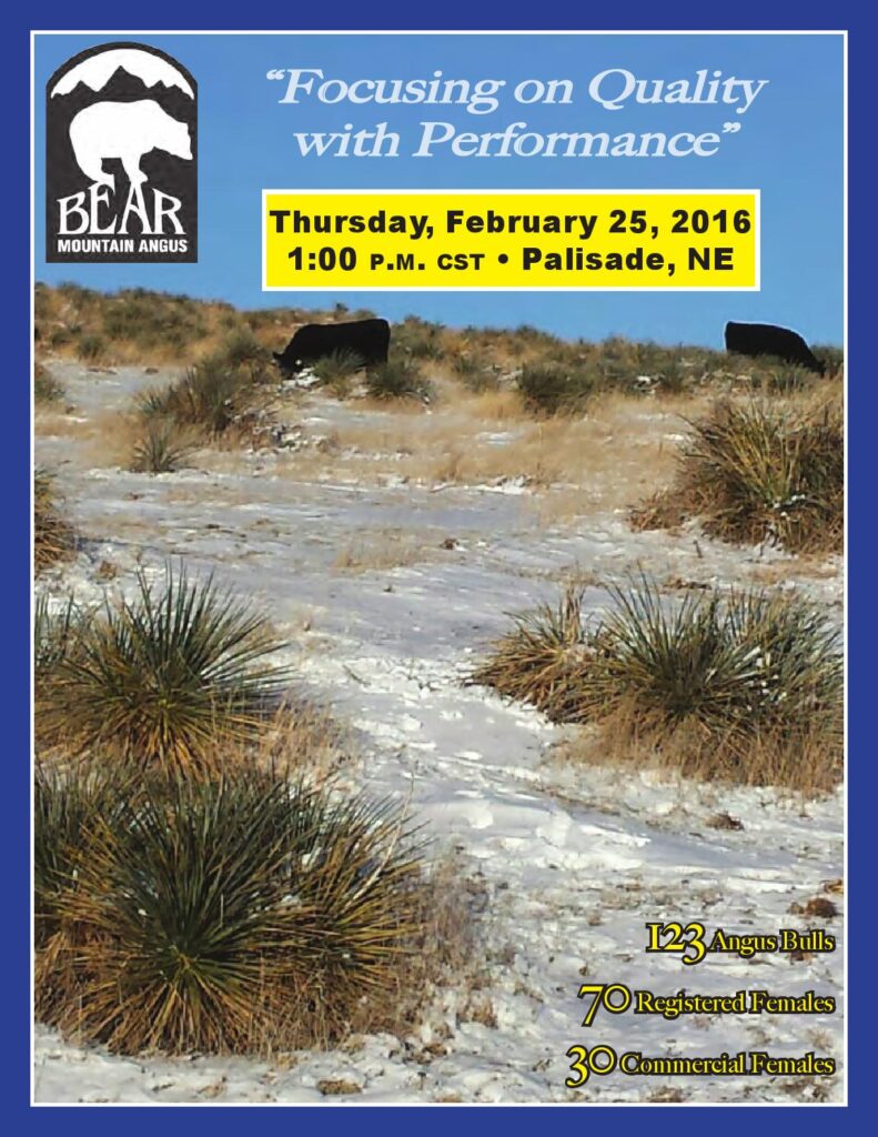 Bear Mountain Angus - 2016 Production Sale