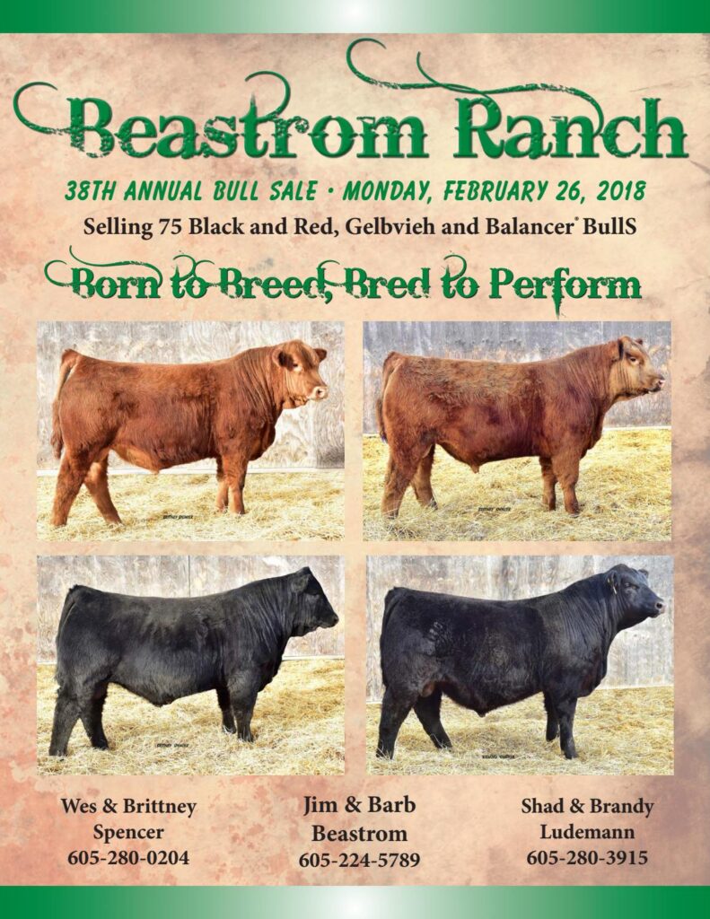 Beastrom Ranch - 2018 Bull Sale