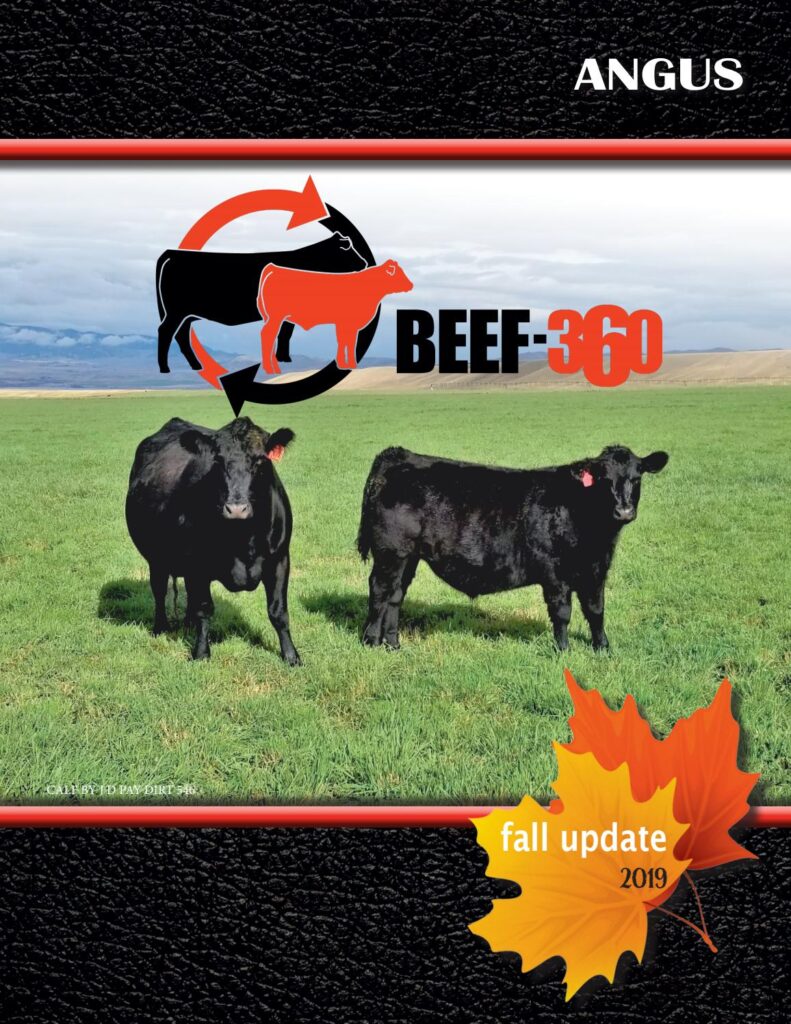Beef 360 - 2019 Fall Angus Update