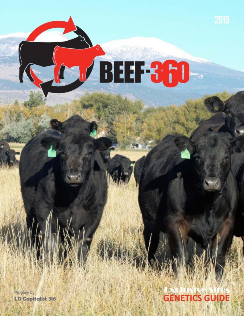 Beef 360 - 2019 Genetics Guide