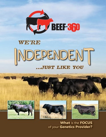 Beef-360 - 2023 Independent Handout