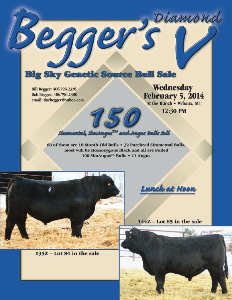 Begger's Diamond V - 2014 Big Sky Genetic Source Bull Sale