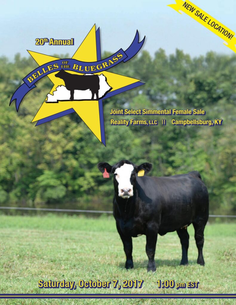 Belles of the Bluegrass - 2017 Female Sale