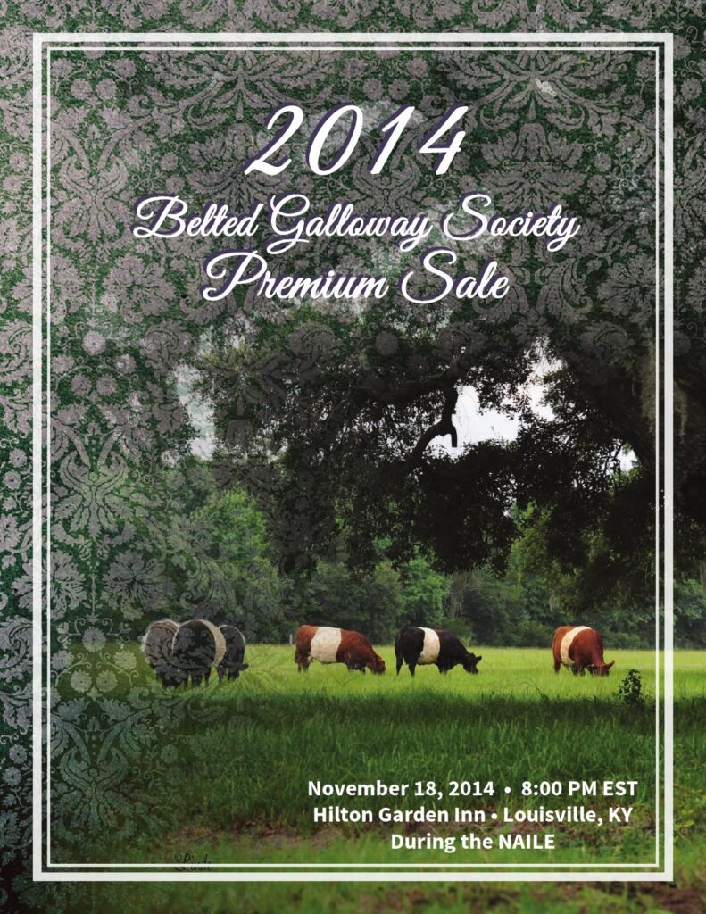 Belted Galloway Society - 2014 Premium Sale