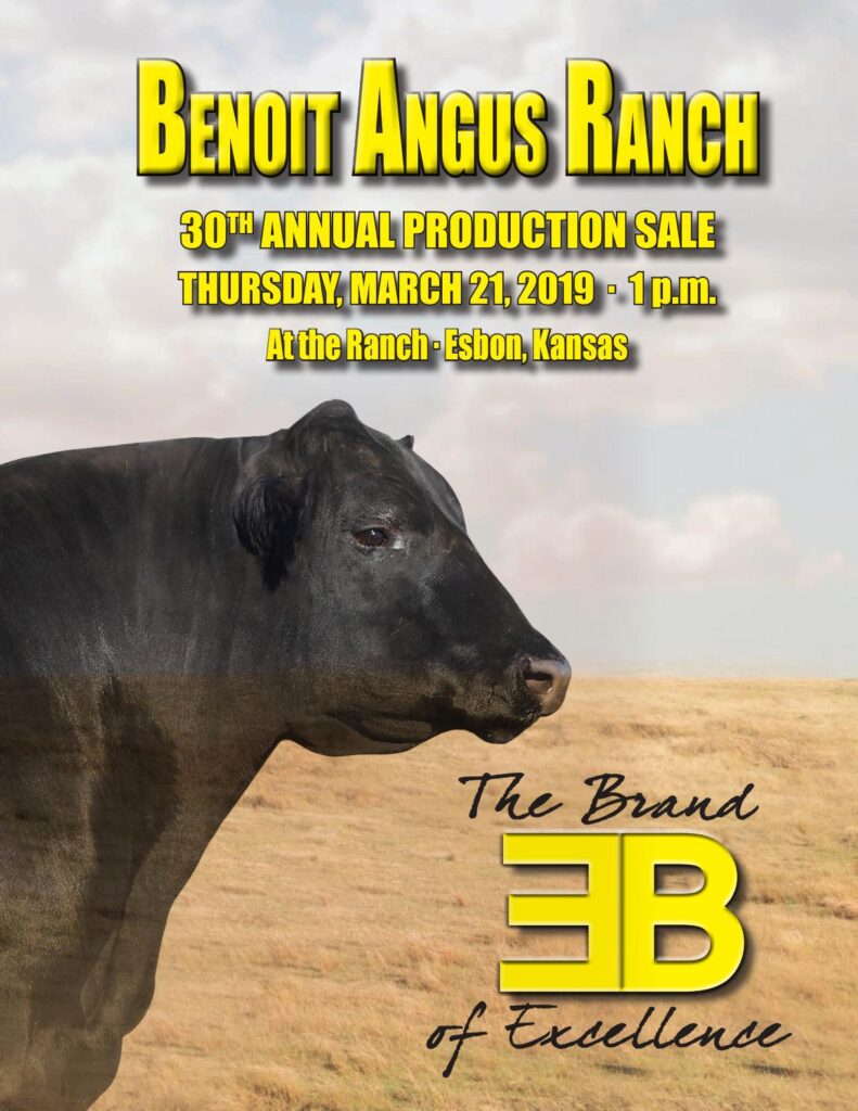 Benoit Angus - 2019 Sale