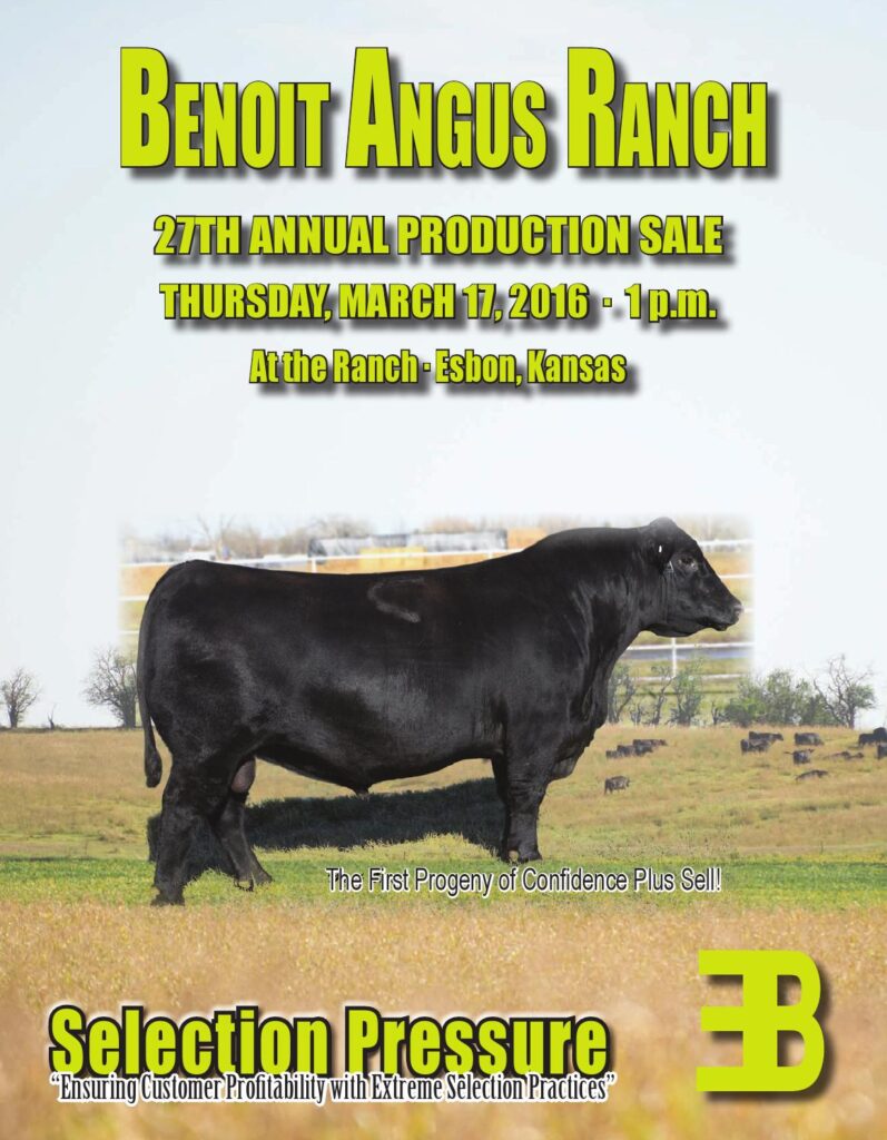 Benoit Angus Ranch - 27th Annual Production Sale