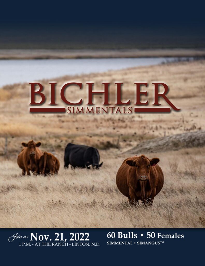 Bichler Simmentals - 2022 Fall Sale