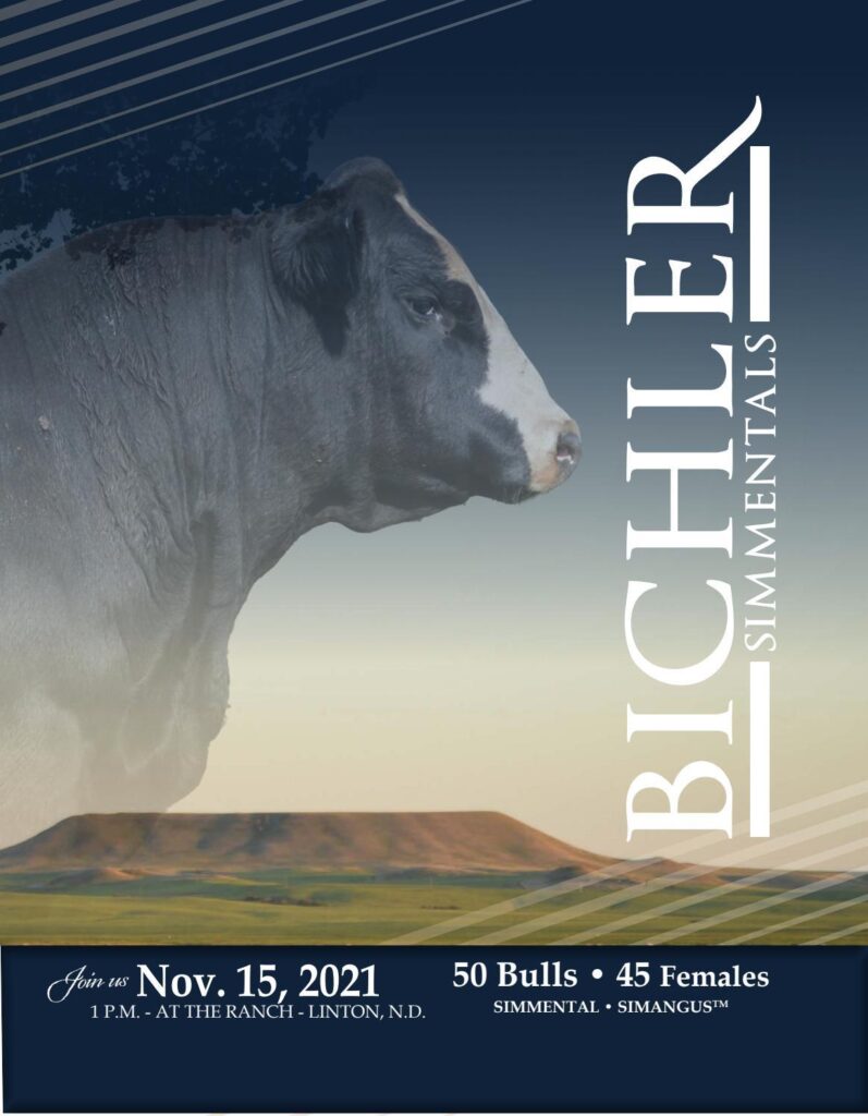 Bichler Simmentals and Red Angus - 2021 Fall Sale
