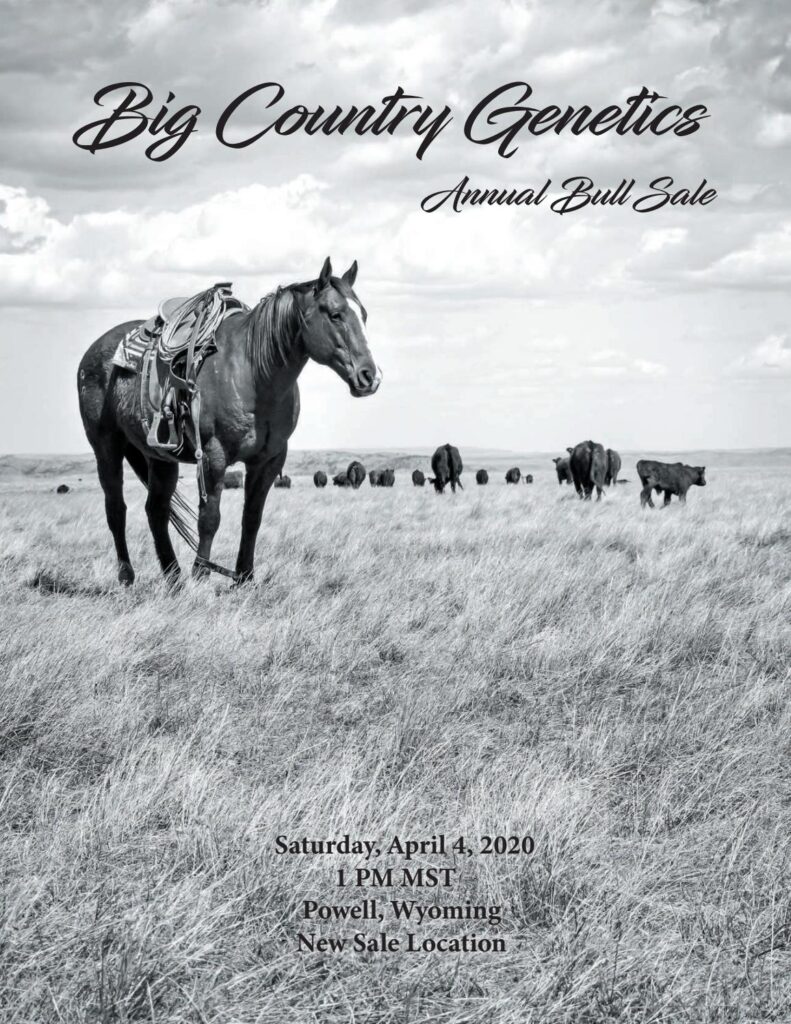 Big Country Genetics - 2020 Sale